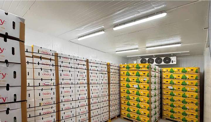 Cold Storage Service Miami-Dade