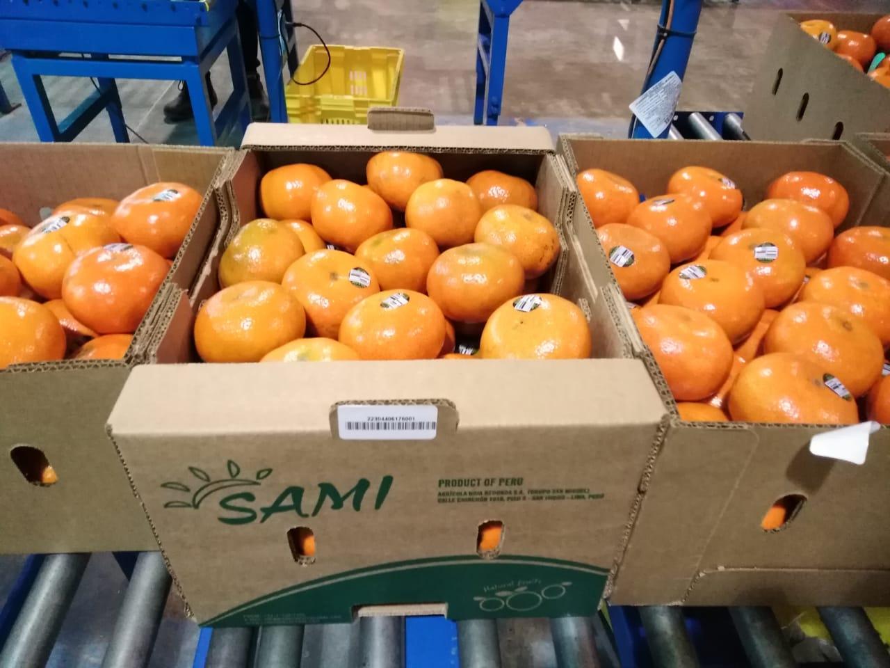 Citrus distributor, Miami, Hialeah, Fort Lauderdale Tocumen Produce