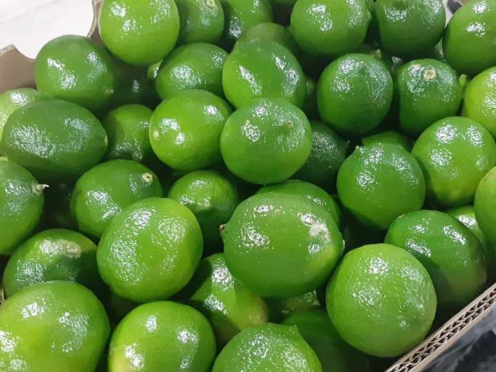 Citrus Distributor Miami Dade