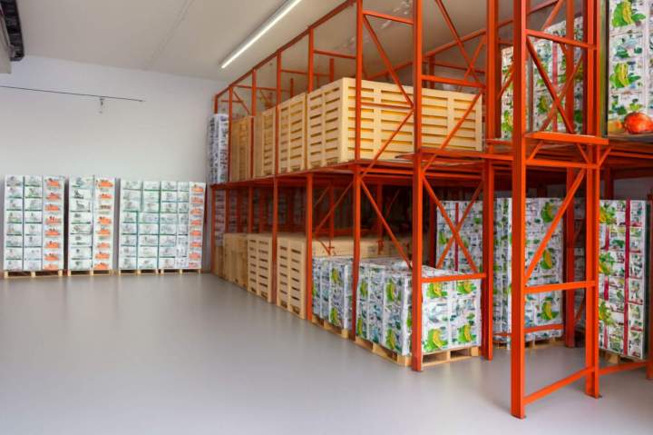 Keep Your Produce Fresh Longer