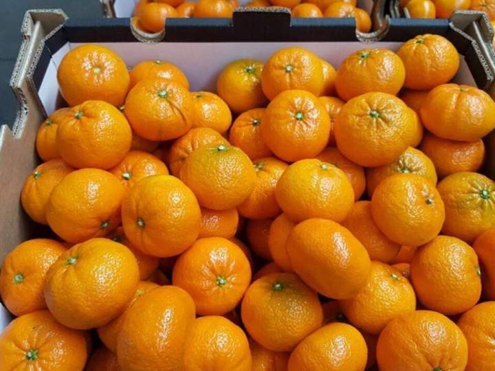 Mandarin Orange Market in Miami Dade
