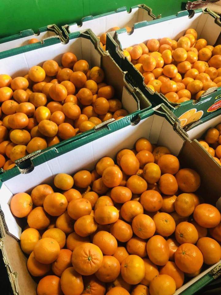 Fruit Import Miami-Dade