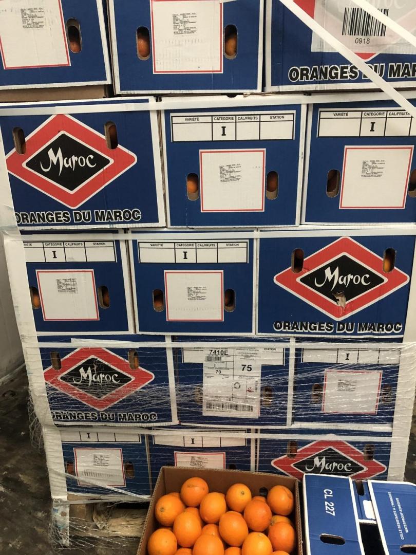 Citrus distributor, Miami, Hialeah, Fort Lauderdale Tocumen Produce