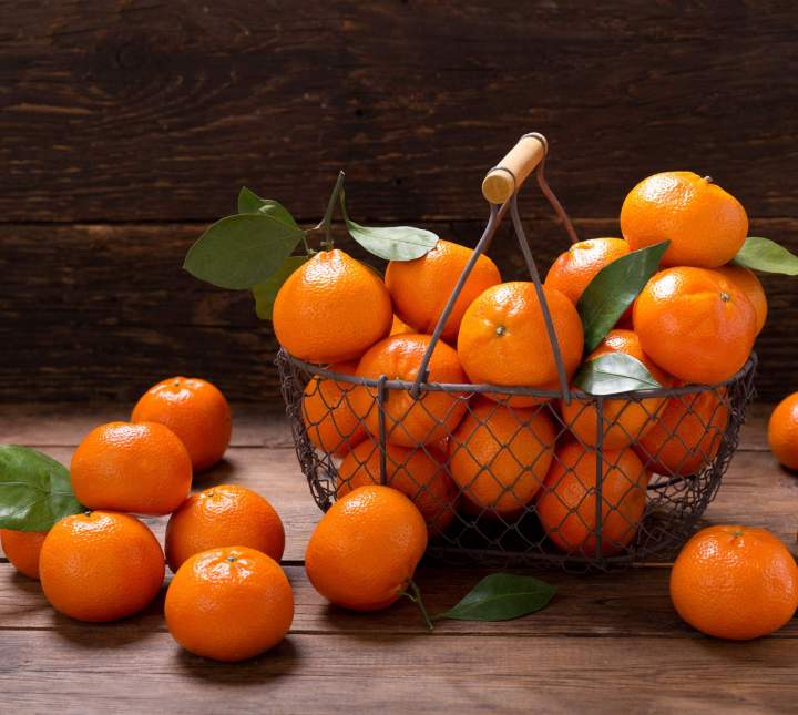 Fruit Import Miami Dade