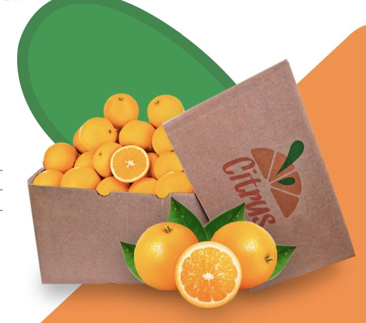 Citrus Distributor Miami Hialeah Fort Lauderdale